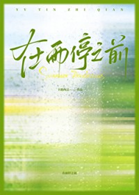 在雨停之前